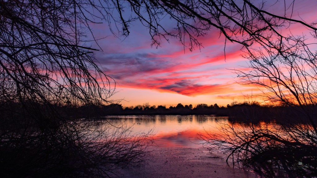 I Am Relearning How To Make A&nbsp;Photograph